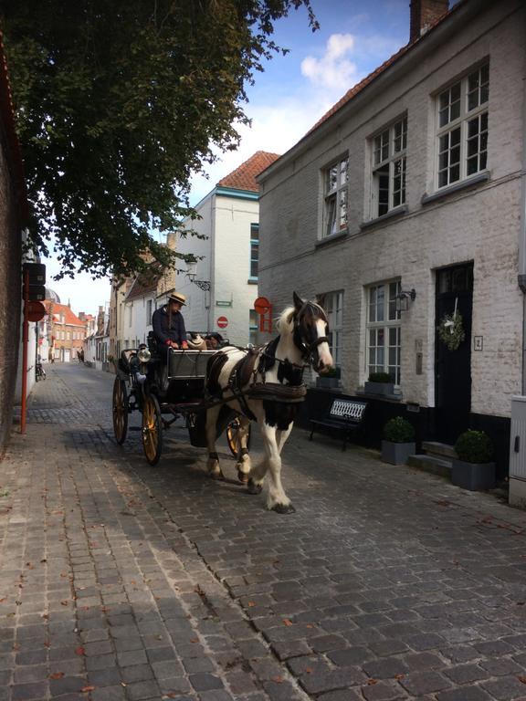 Guestsuite Lady Anna Bruges Esterno foto